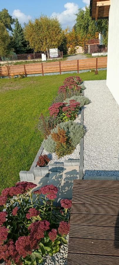 Apartamenty Modrzewiowe Tarasy Хойніце Екстер'єр фото