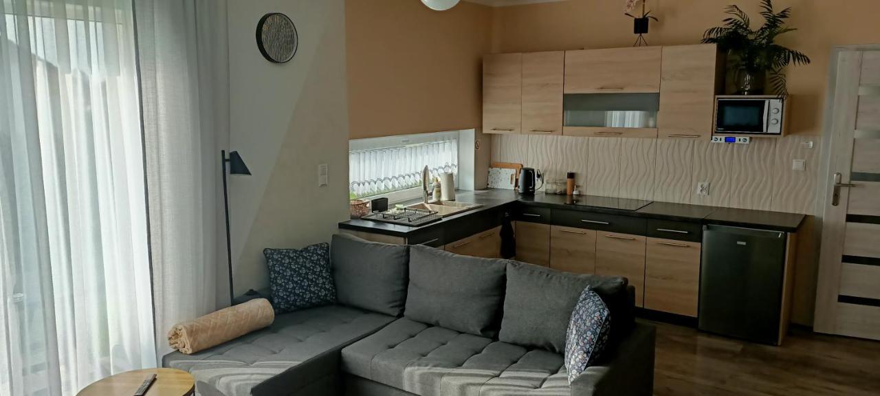 Apartamenty Modrzewiowe Tarasy Хойніце Екстер'єр фото